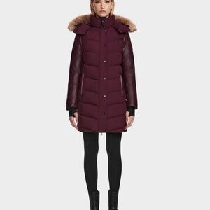 Burgundy Rudsak